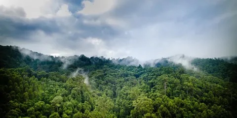 Vue des forêts près du village de Honitetu. Régence de Seram Ouest, Maluku, Indonésie. Photo par Aris Sanjaya/CIFOR-ICRAF.