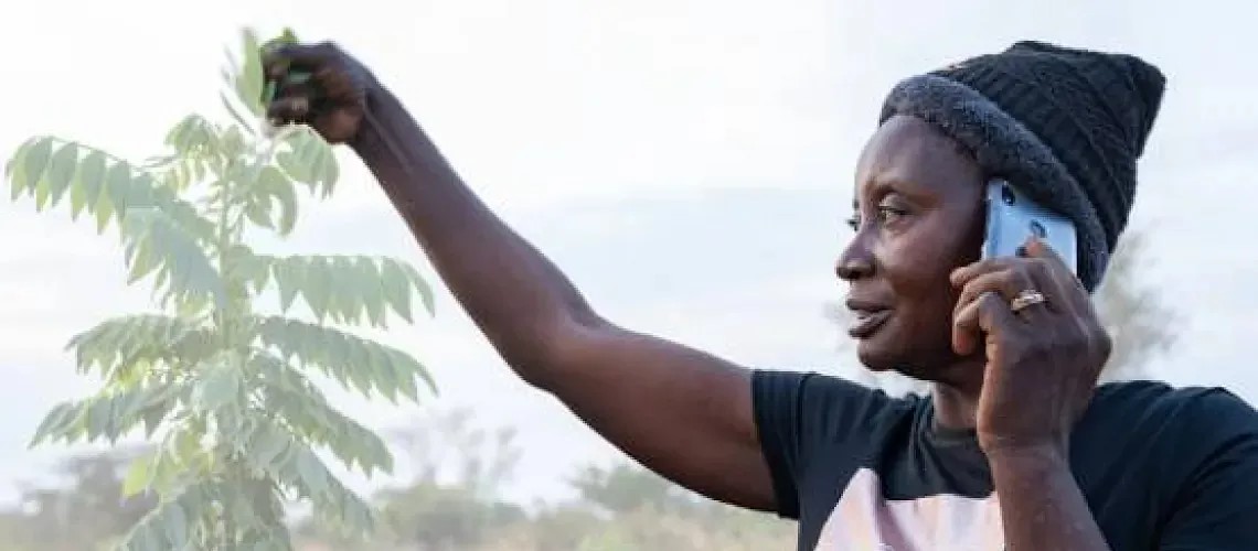 Image Développer la science et l'innovation agricoles pour un avenir climato-résilient en Afrique. Esther Zulu est agricultrice, éleveuse de bétail et responsable communautaire dans le district de Nyimba, dans l'est de la Zambie. Crédit photo : AICCRA / K