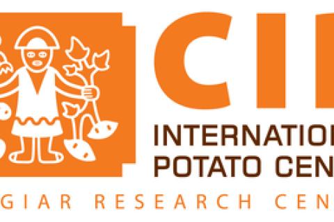 International Potato Center logo