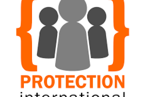 protection international logo