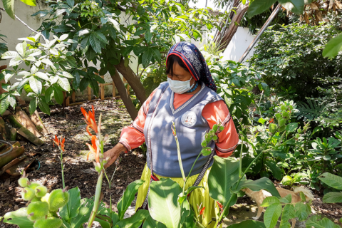 Mujeres en el campo ¿Tierra y libertad?