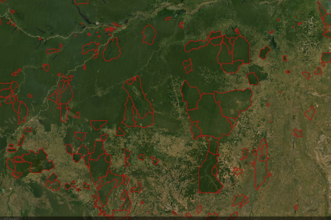 Indigenous forest tenure About the important role local people play in forest conservation and carbon management