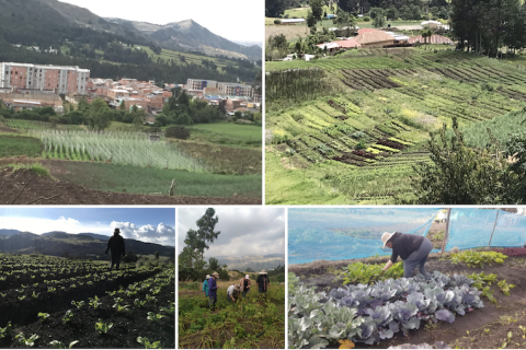 Cambios Uso de la Tierra:  Borde Sur Urbano-Rural Bogotá