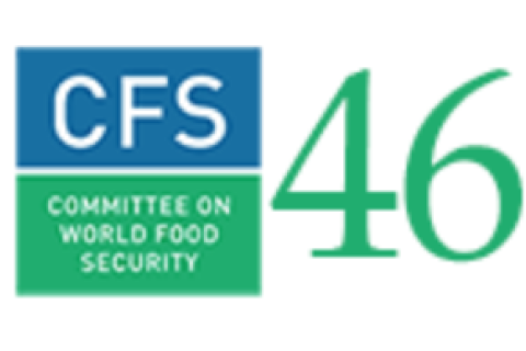 Committee on World Food Security (CFS 46)