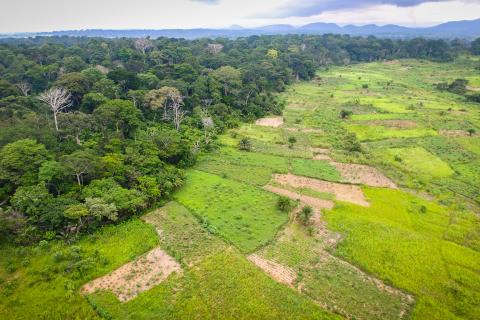 Forest transition Aerial view of a Transition Forest area in Bokito, Cameroon. Photo by Mokhamad Edliadi/CIFOR