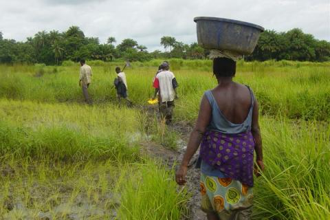 African-Agriculture.jpg