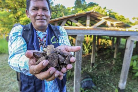 Sergio Perea, president of the Tres Islas community in Peru, presenting Brazil nuts. Photo credit: Juan Carlos Huayllapuma/CIFOR