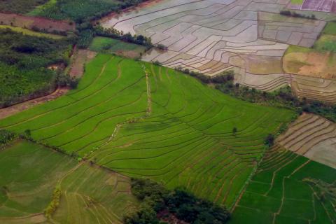 Ricefields, Tarapoto, Peru, photo by Bruno Locatelli/CIFOR 2017, CC BY-NC-ND 2.0 license