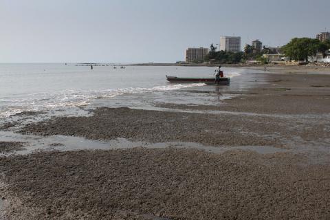 Libreville beach,Gabon, Photo buy Brian Gratwicke