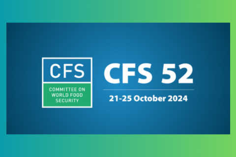 CFS 52