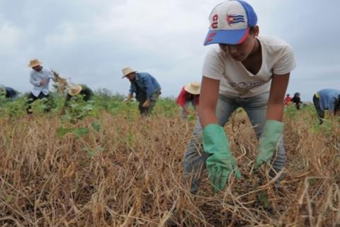 El desafío y oportunidad de integrar a la juventud rural