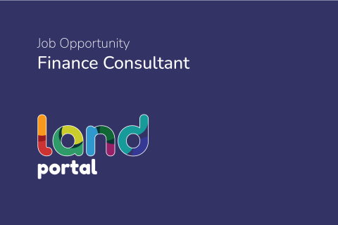 Finance Consultant