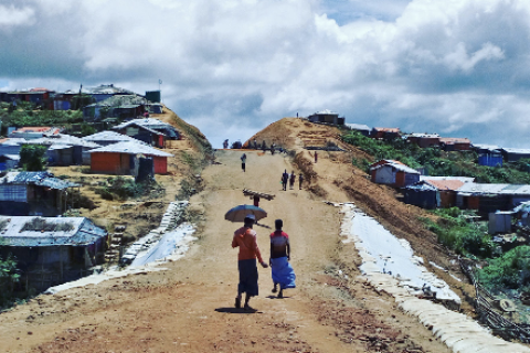 Cox’s Bazar has lost 2,500 hectares of forest land due to the Rohingya influx which began in 2017