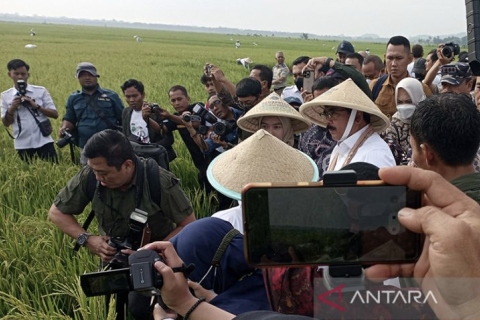 Minister witnesses the installation of land boundary markers in a paddy field in Central Java