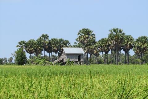landscape-Cambodia