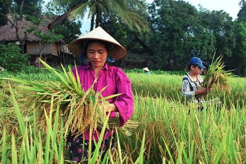 Women Take Centre Stage at the HLPF: An Interview with Joan Carling