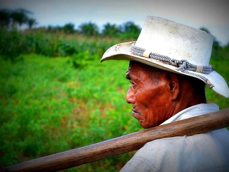 III seminario interdisciplinario permanente de investigación sobre territorios, ruralidades,interculturalidad,ambiente y alimentación en el Ecuador 