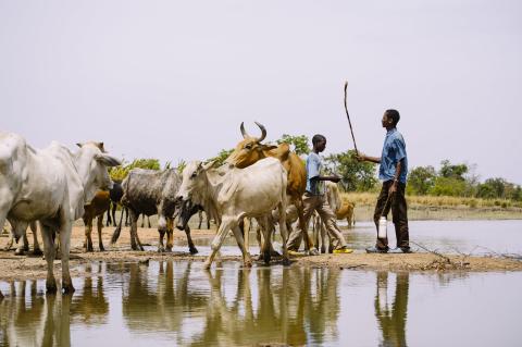 Photo by Ollivier Girard/CIFOR