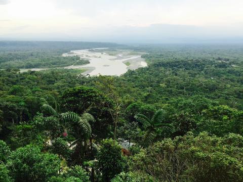 Amazonas