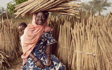 Niger millet farmer