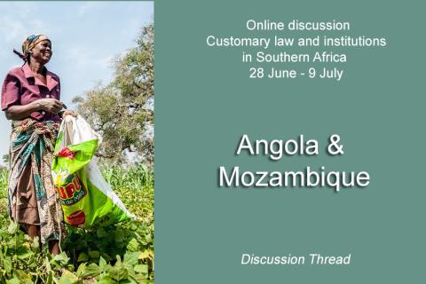 Angola & Mozambique - Online discussion on customary law - 28 June - 9 July