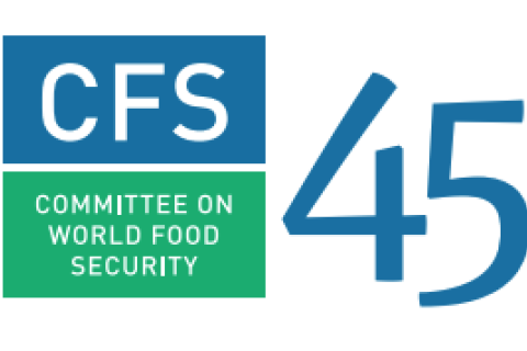 Committee on World Food Security (CFS 45) image