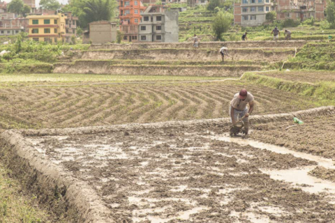 What is lacking in Nepal’s land reform initiative?
