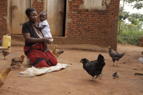 For women in rural Uganda Newcastle Disease vaccine is more than just protecting chickens
