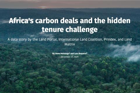 Banner data story Africa carbon deals 