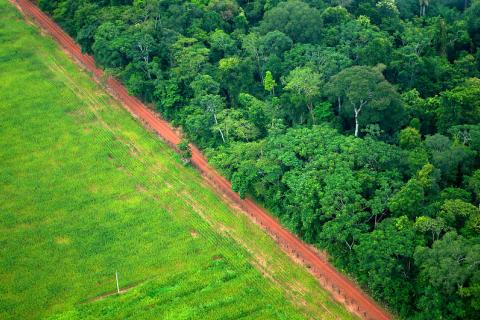 Deforestration Brazil