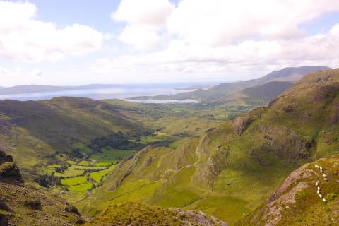 Sheep Grazing Commons Above Private Valley Farms, Adrigole, Ireland (Photo: Liz Alden Wily)