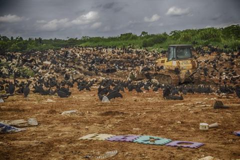 Lixão a céu aberto no município de Cruzeiro do Sul, no Acre. Foto: Roberto Herrera