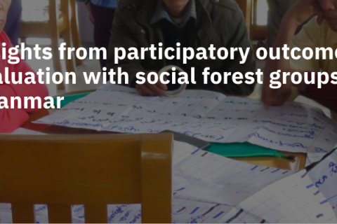 Insights from participatory outcome evaluation with social forest groups in Myanmar