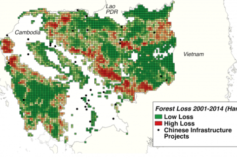 This map draws on Chinese infrastructure project location data from AidData and forest cover loss data from Hansen et al. (2013).