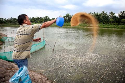 CRDI/Bartay Le Réseau des centres d’aquaculture en Asie-Pacifique et FutureFish lancent un projet AQUADAPT, les 4 et 5 juillet 2024, à Bangkok, en Thaïlande.