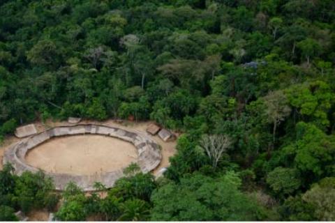 Foto: Claudio Angelo /OC; Floresta altamente biodiversa e produtiva na Amazónia