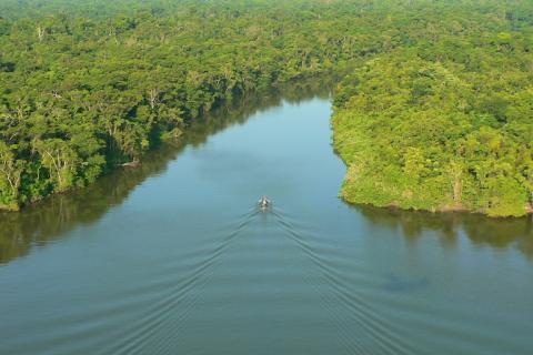 Aerial view of the Río Plátano Biosphere Reserve in Honduras. Image: Panthera.