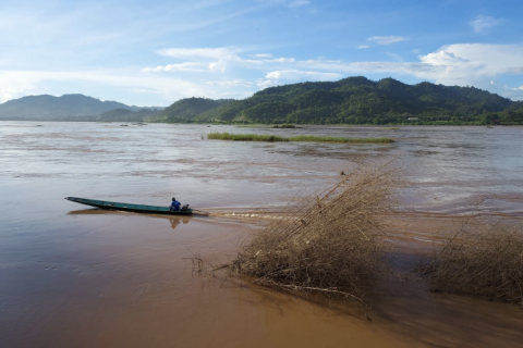  A fisherman drives his boat past dead trees that slid into the Mekong River during a riverbank collapse