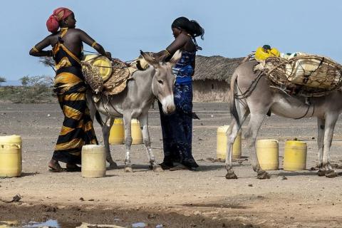 ©PAM/Alessandro Abbonizio Des femmes collectent de l'eau à Marsabit, une région frappée par la séche