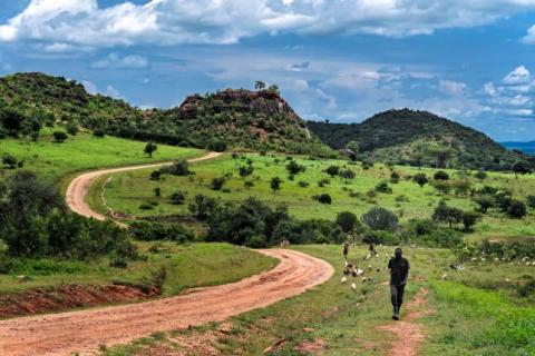 Photo Credit: Karamoja, Uganda, courtesy of Flickr User Rod Waddington. 