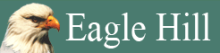 Eagle Hill Institute logo