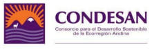 CONDESAN logo