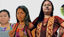 Resistencia indígena