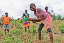Liberia agriculture USAID photo