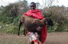 Masai.jpg
