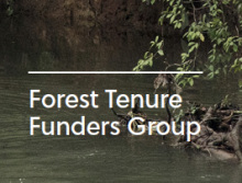 Forest Tenure Funders Group