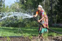 Woman watering plants India. Photographer Hamish John Appleby (IWMI)