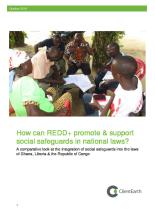  How can REDD+ promote and support social safeguards in national laws?