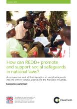  How can REDD+ promote and support social safeguards in national laws? Executive summary
