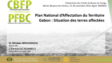 Plan National d’Affectation duTerritoireGabon :Situation des terres affectées
